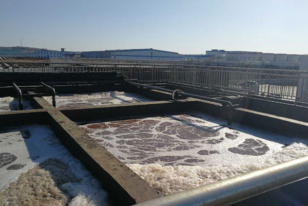 1751682312721888.jpg 1.jpg